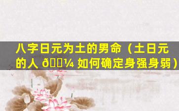 八字日元为土的男命（土日元的人 🌼 如何确定身强身弱）